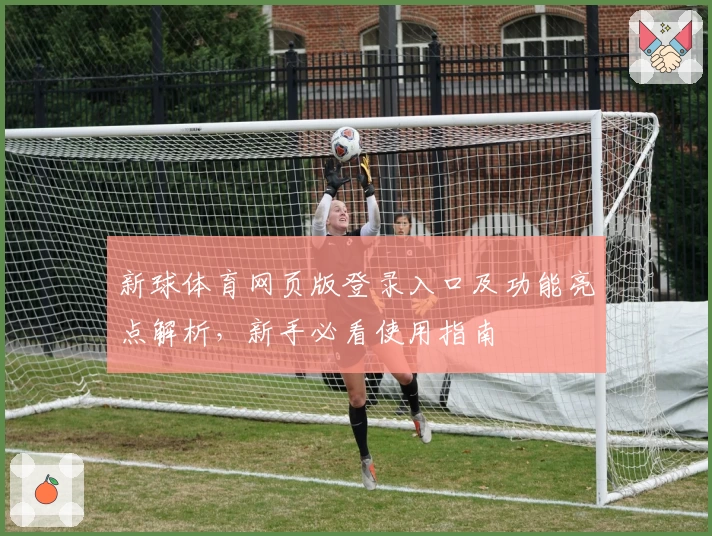 新球体育网页版登录入口及功能亮点解析，新手必看使用指南