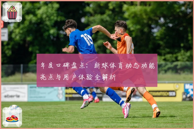 年度口碑盘点：新球体育动态功能亮点与用户体验全解析