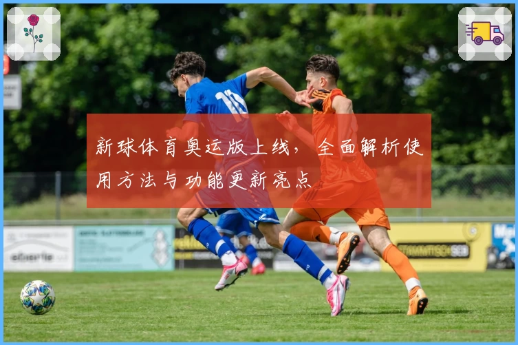 新球体育奥运版上线，全面解析使用方法与功能更新亮点