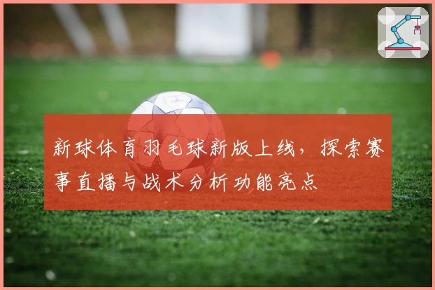 新球体育羽毛球新版上线，探索赛事直播与战术分析功能亮点