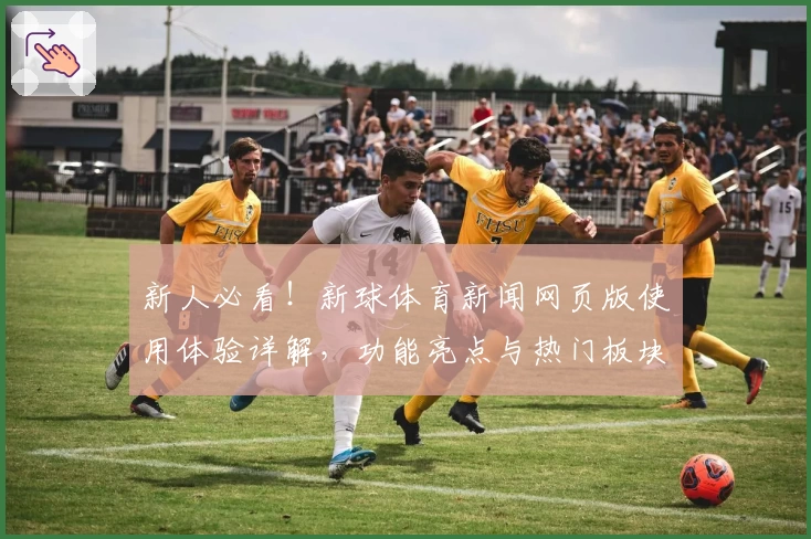 新人必看！新球体育新闻网页版使用体验详解，功能亮点与热门板块全解析