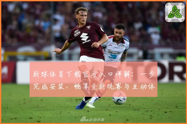 新球体育下载官方入口详解：一步完成安装，畅享全新观赛与互动体验
