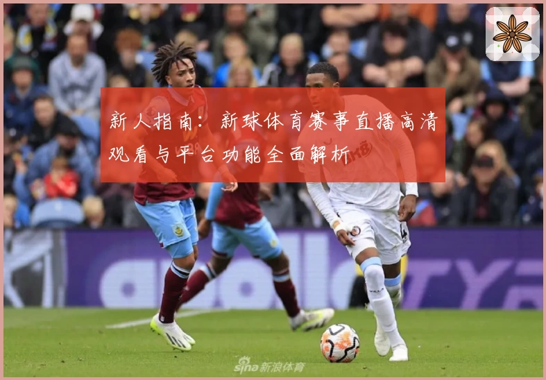 新人指南：新球体育赛事直播高清观看与平台功能全面解析