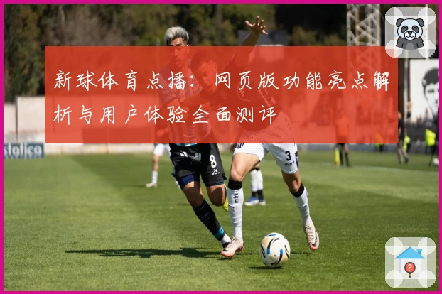 新球体育点播：网页版功能亮点解析与用户体验全面测评